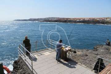 Avistan cetáceos en el mar de La Garita-Telde (Foto TA)
